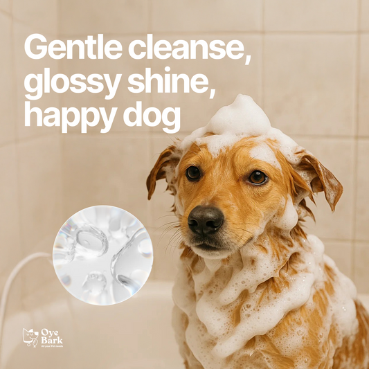 WagWash Organic Pet Shampoo - 200ml