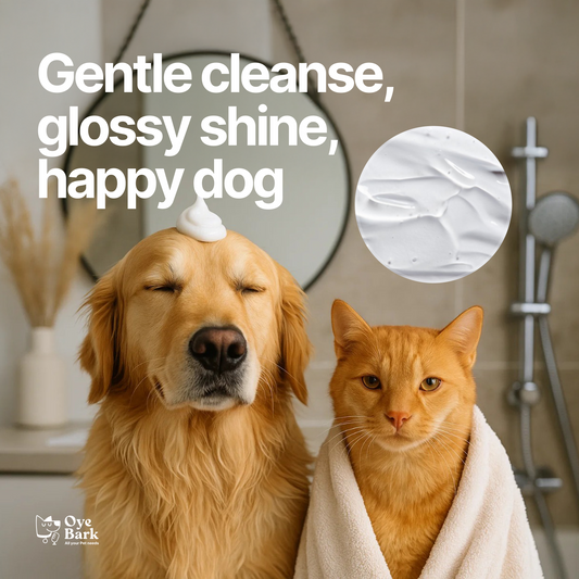 WagWash Organic Pet Conditioner - 200ml