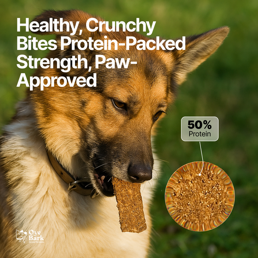 Crunchy  Munchy  Protein Bar
