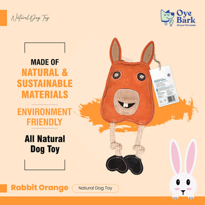 Orange Rabbit Chew Toy